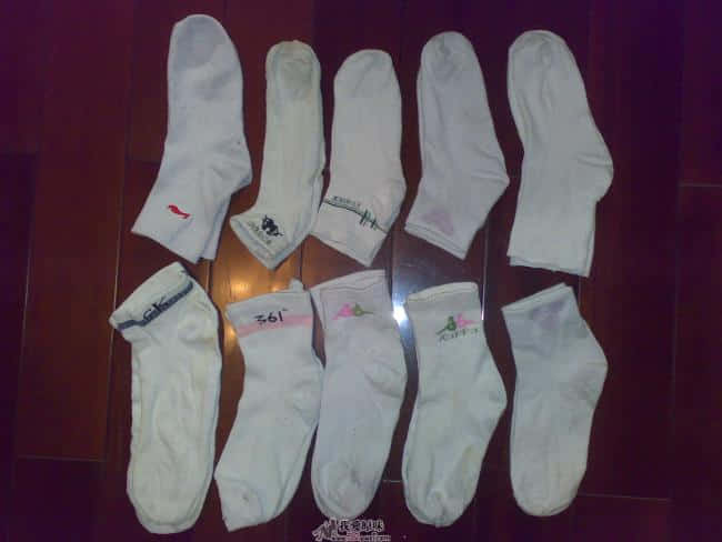20081018673.jpg
