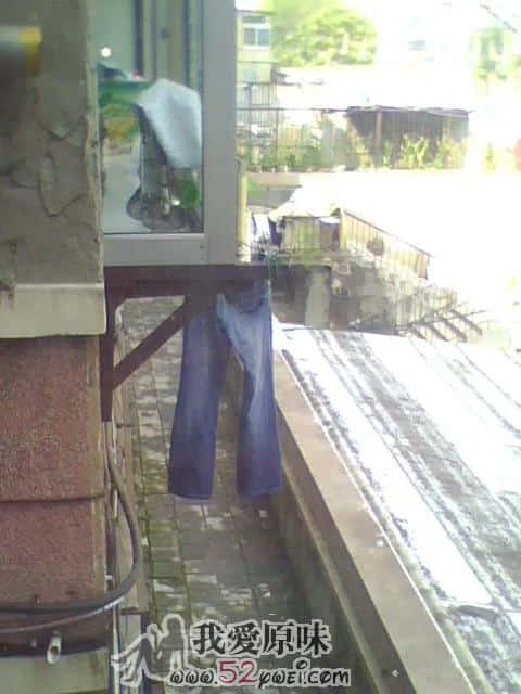 IMG0116A.jpg