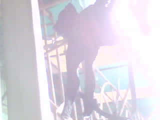 IMG0393A.jpg