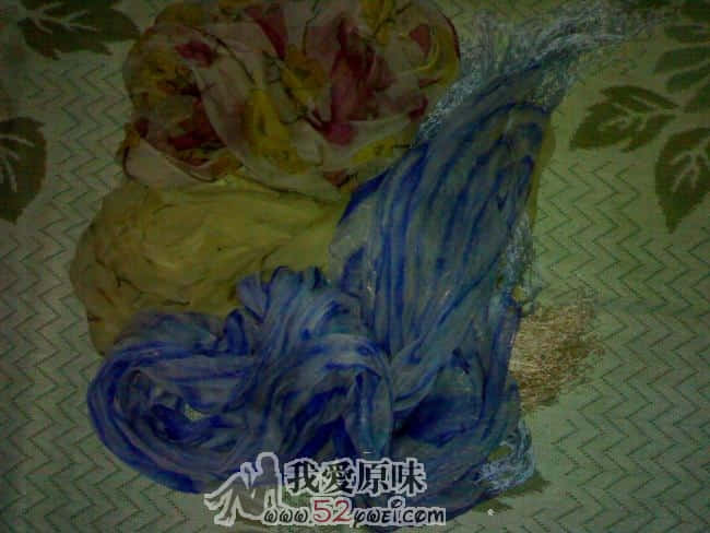200908131209.jpg
