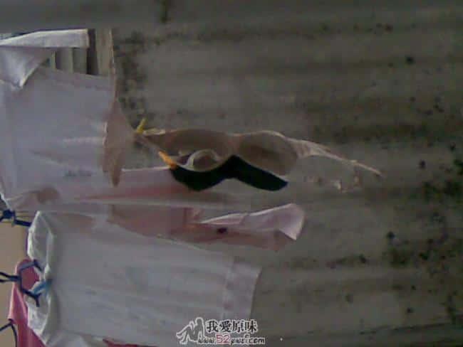 20090418(001).jpg
