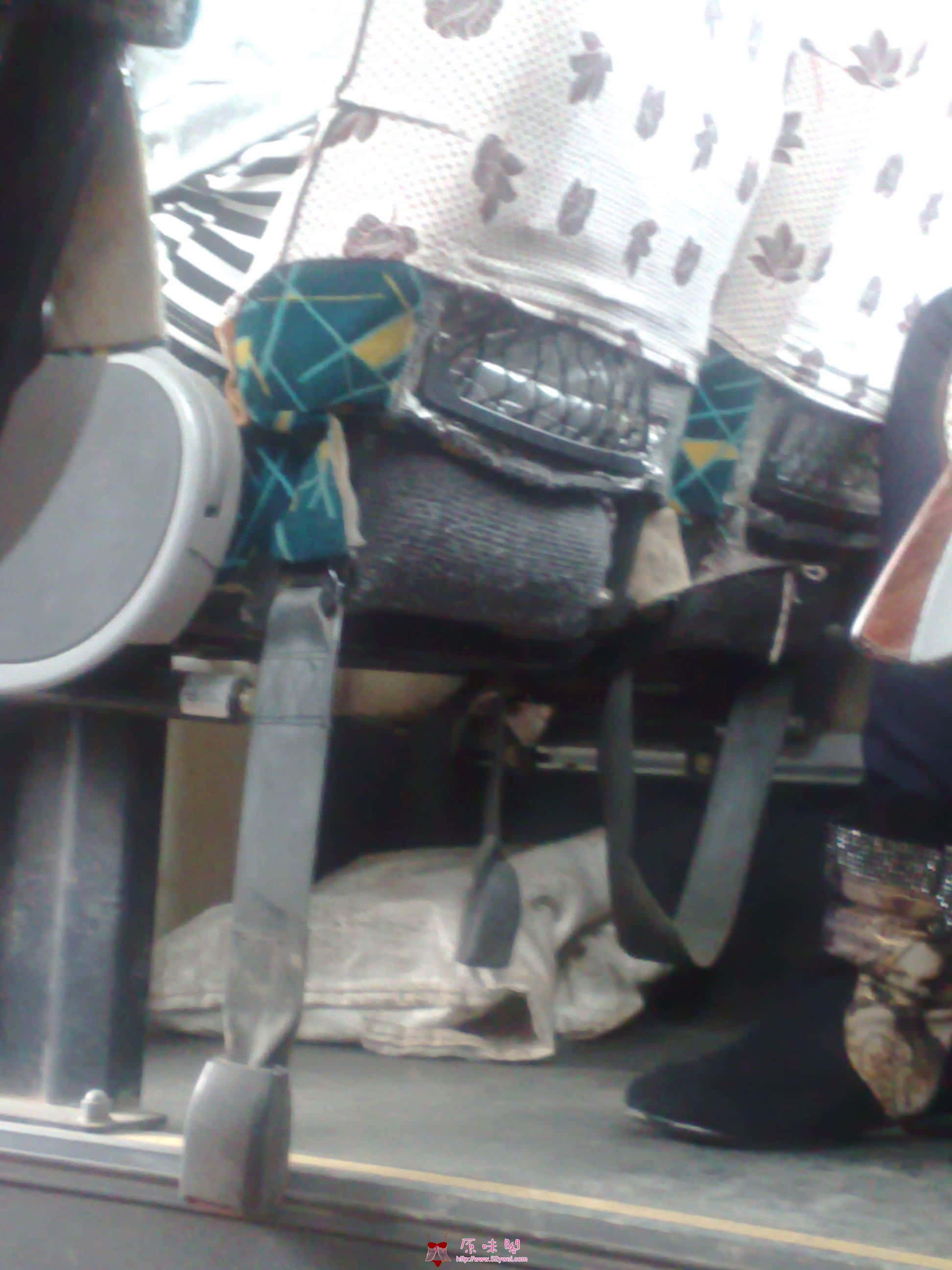 20100919061.jpg