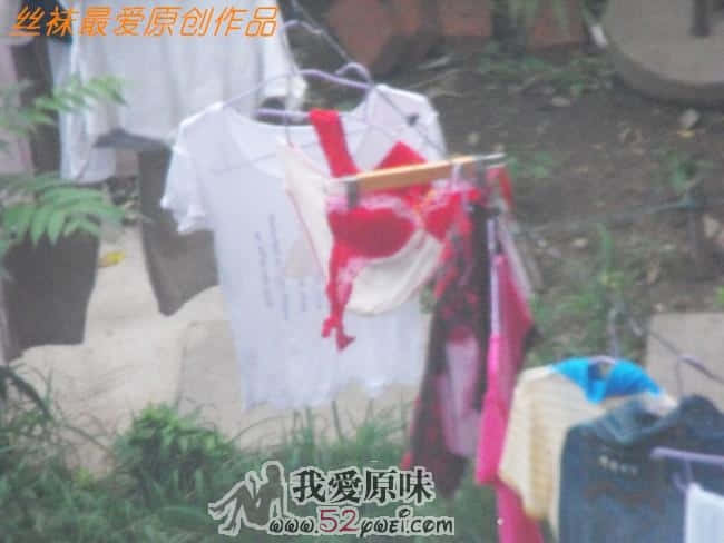 夏日晾晒.JPG