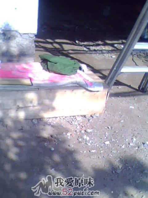 IMG0094A.jpg