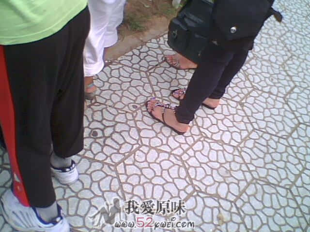 IMG2827A.jpg