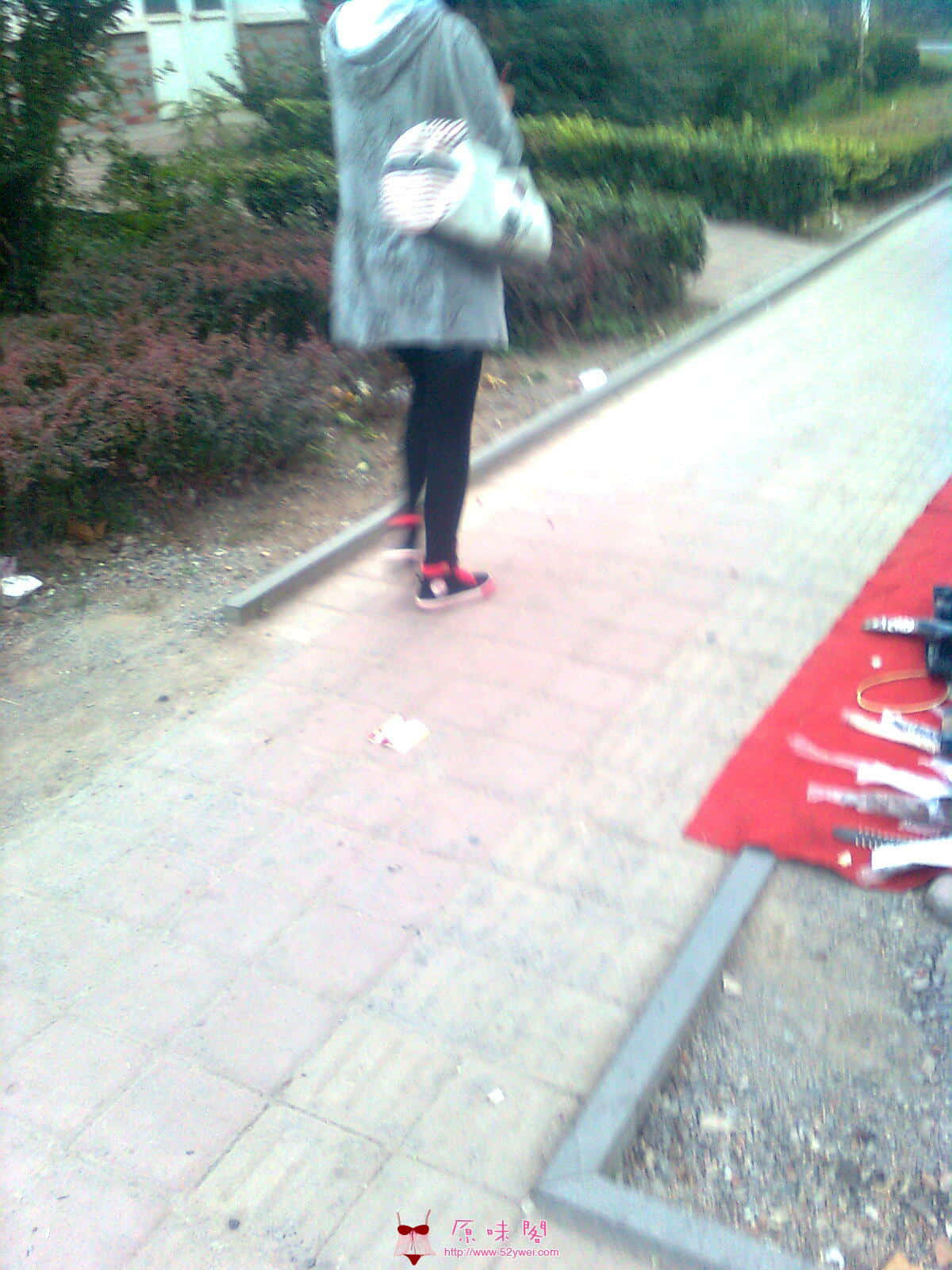 图像0540.jpg
