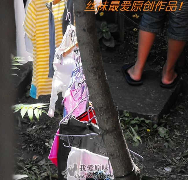 楼下晾衣架内衣 (1).JPG
