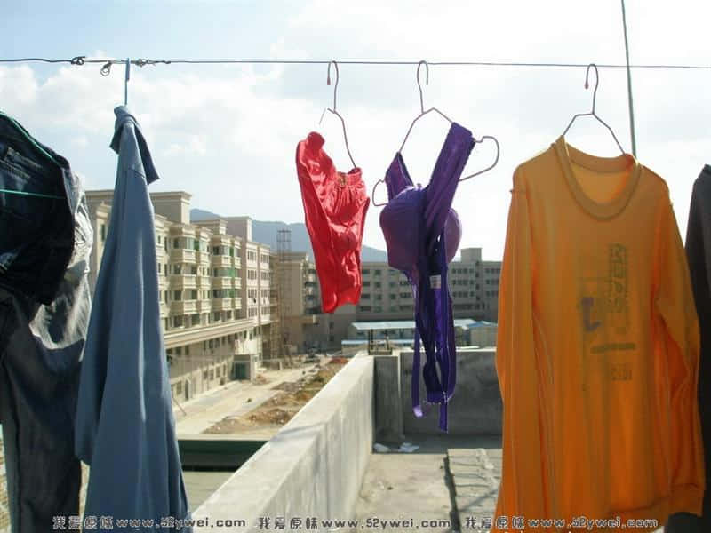 这条套紫内内似曾相识，只可惜机会不好，不然就要被我“射”了