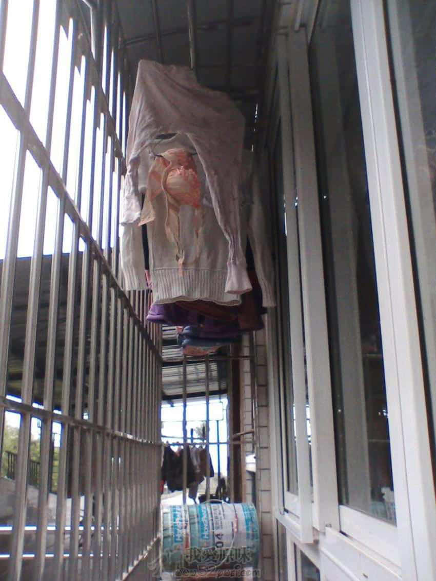IMG001.JPG