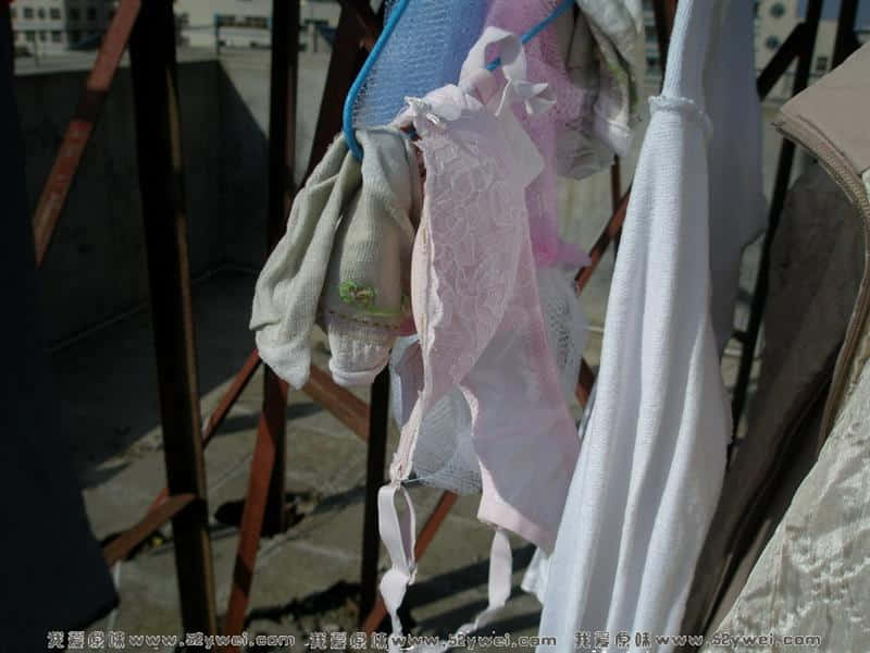 P1192700_调整大小_调整大小.JPG