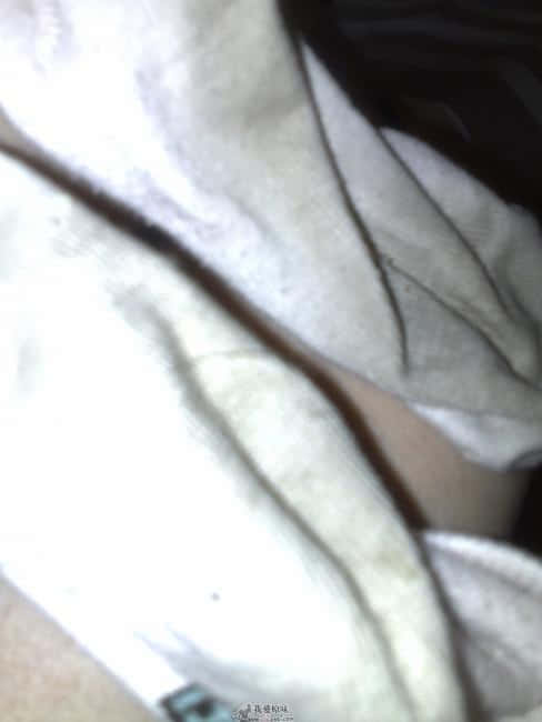 20081113101.jpg
