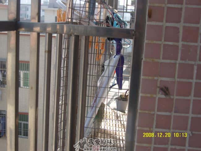 SNV80034.JPG
