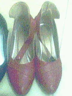 IMG0492A.jpg