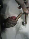 IMAG0511_compress_compress.jpg