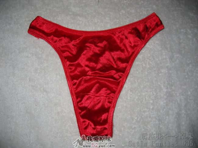 Satin Panties 035.jpg