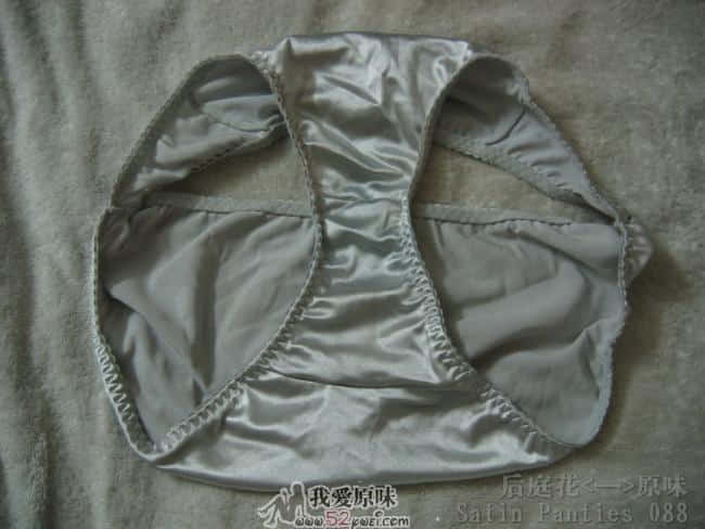 Satin Panties 088.jpg