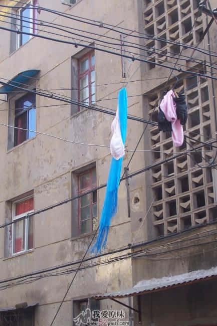 100_7478.JPG