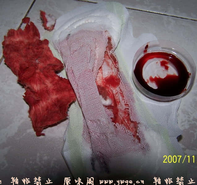 照片 010_缩小大小.jpg