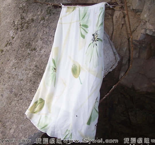 100_2926.jpg