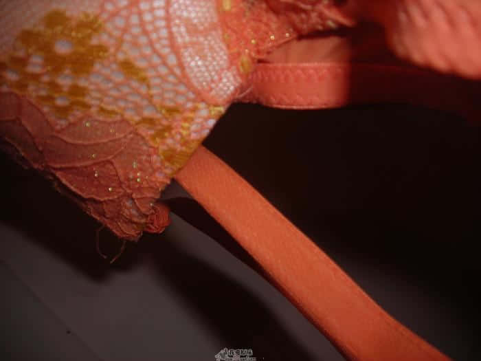 DSCN5412.JPG