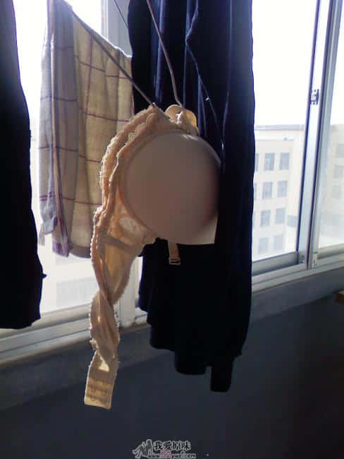 PIC-0013.jpg