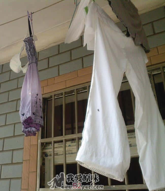 20090805162127.jpg