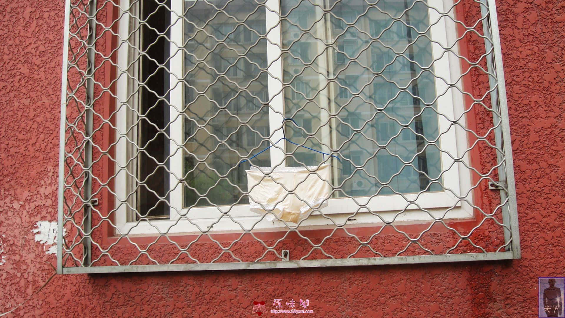 DSC09895.JPG