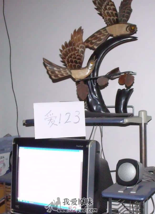 DSCF0338.JPG