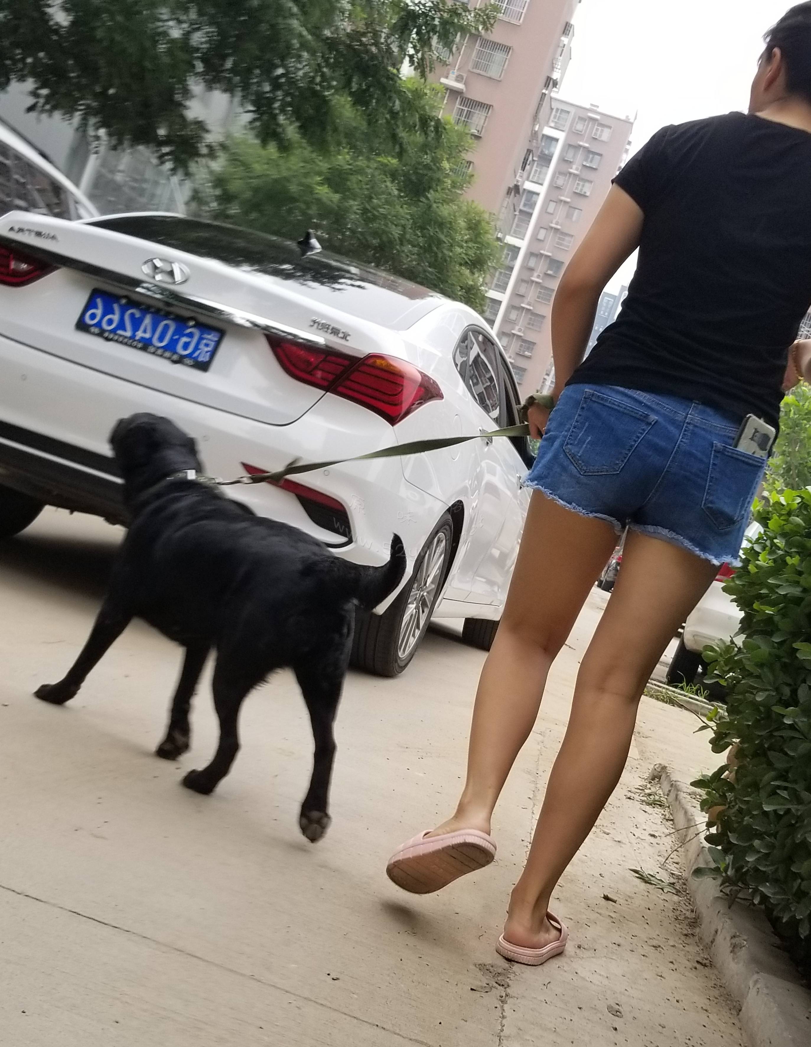 20180723_115331.jpg