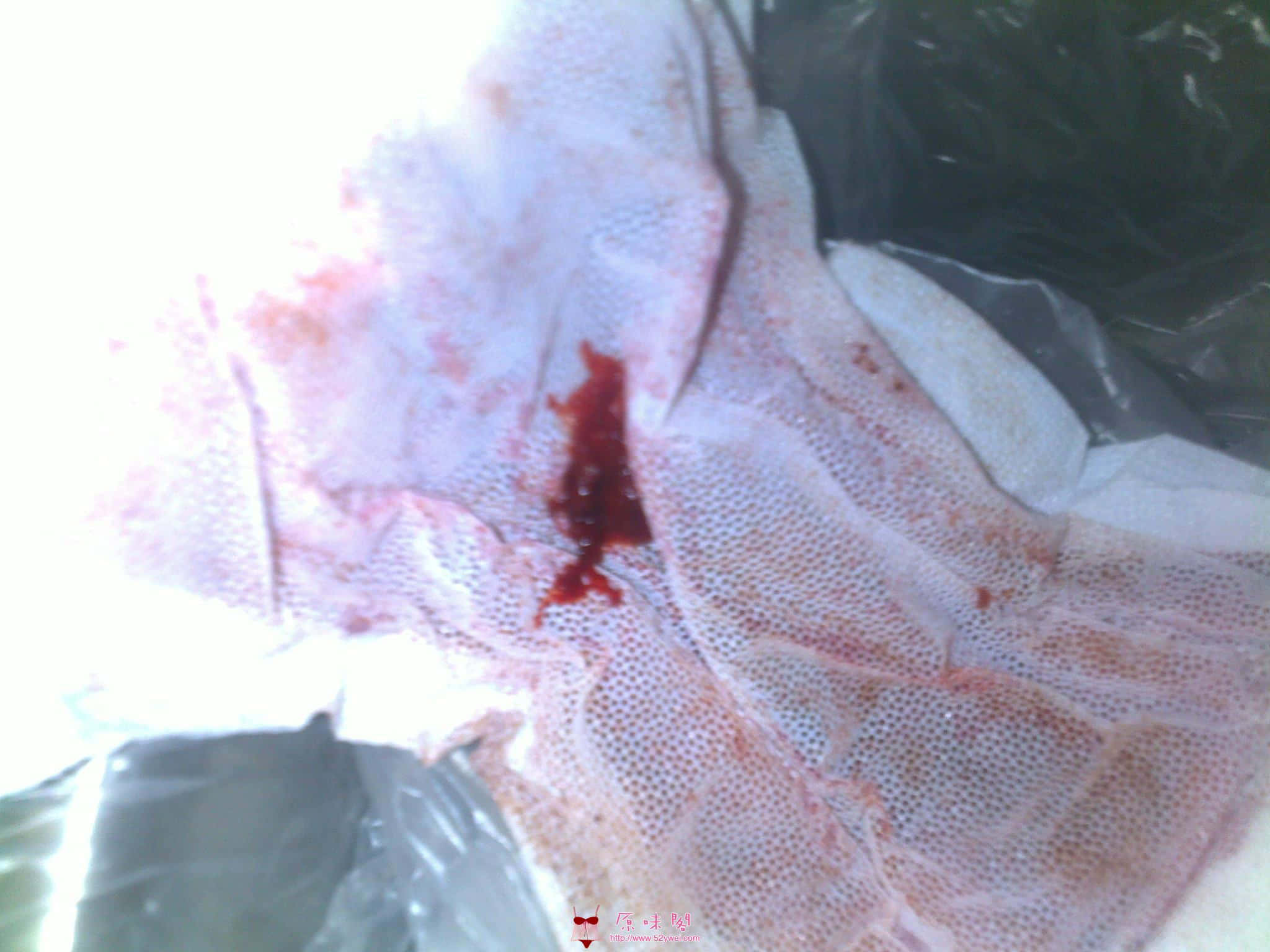 20120204312.jpg