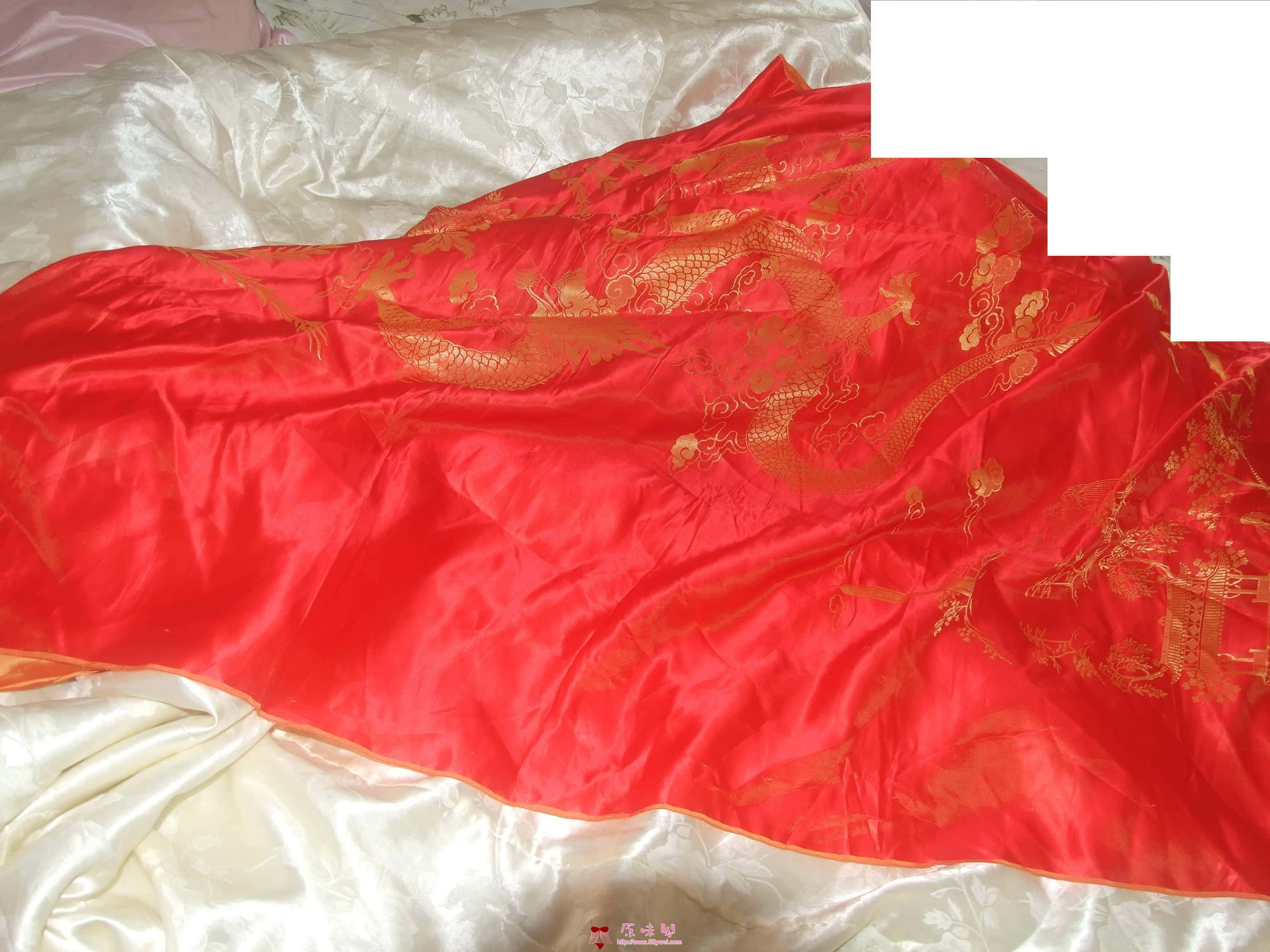 DSCF0791.JPG