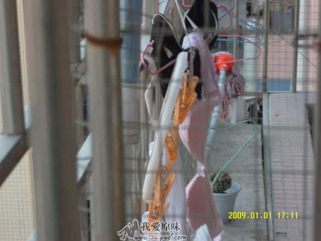 SNV80001.JPG