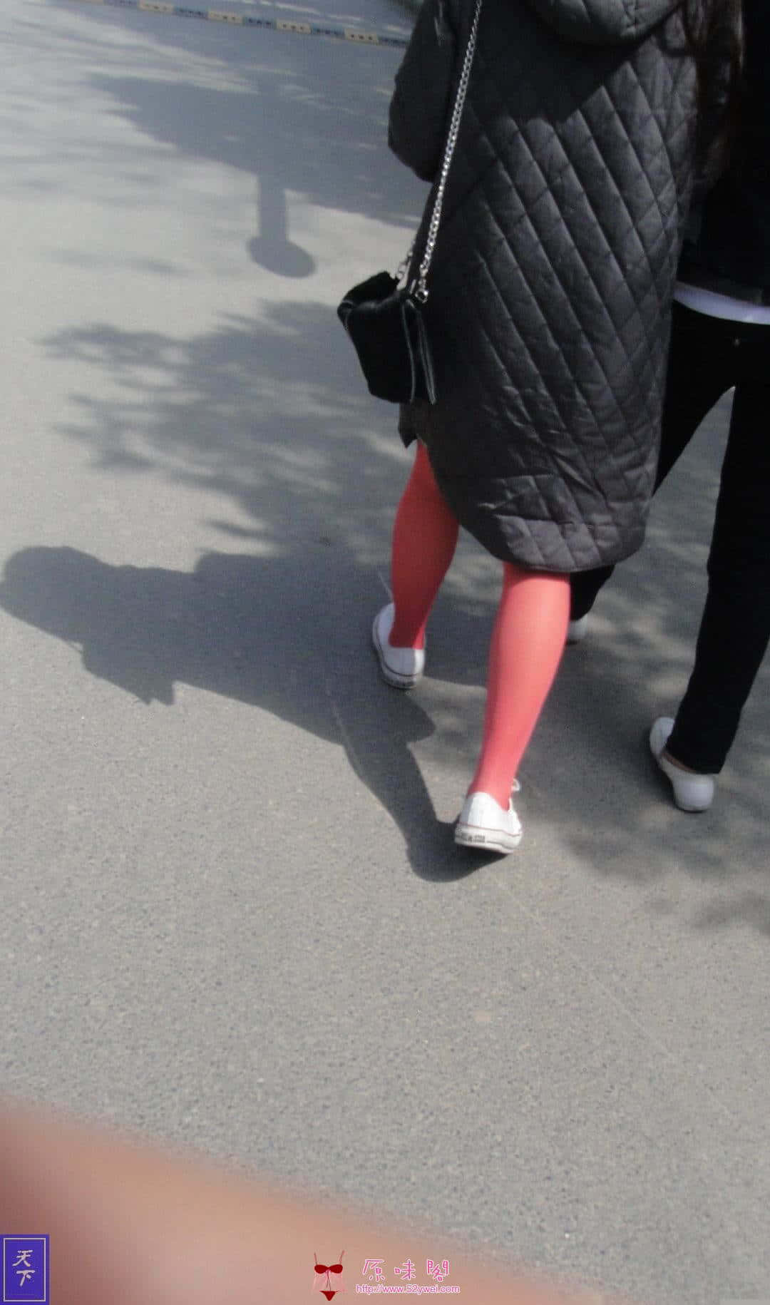 BDSC06248.JPG