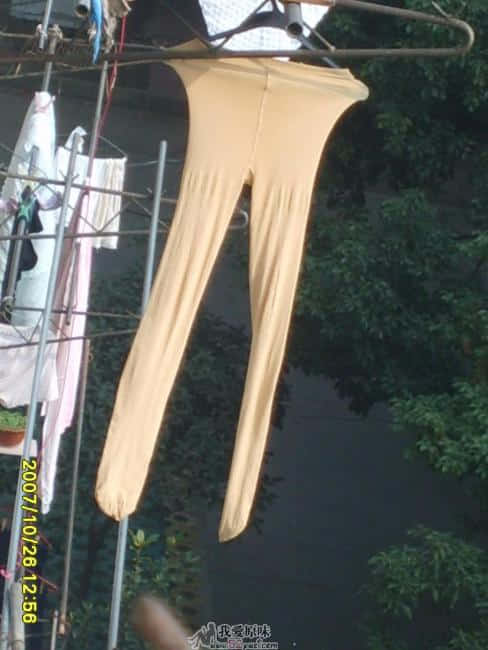 S5000426.JPG