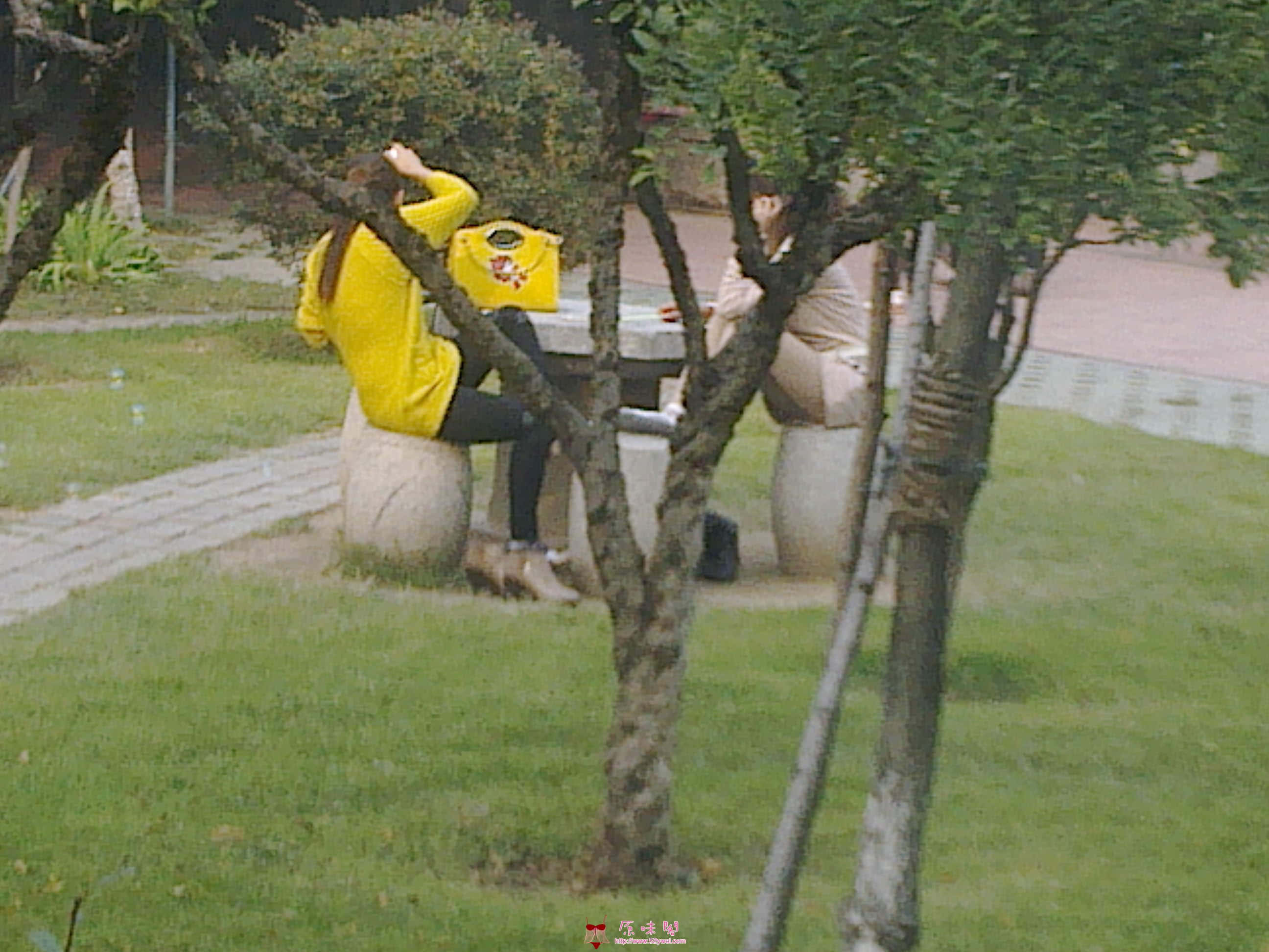 20111005592.jpg