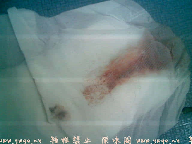 20071226(003).jpg