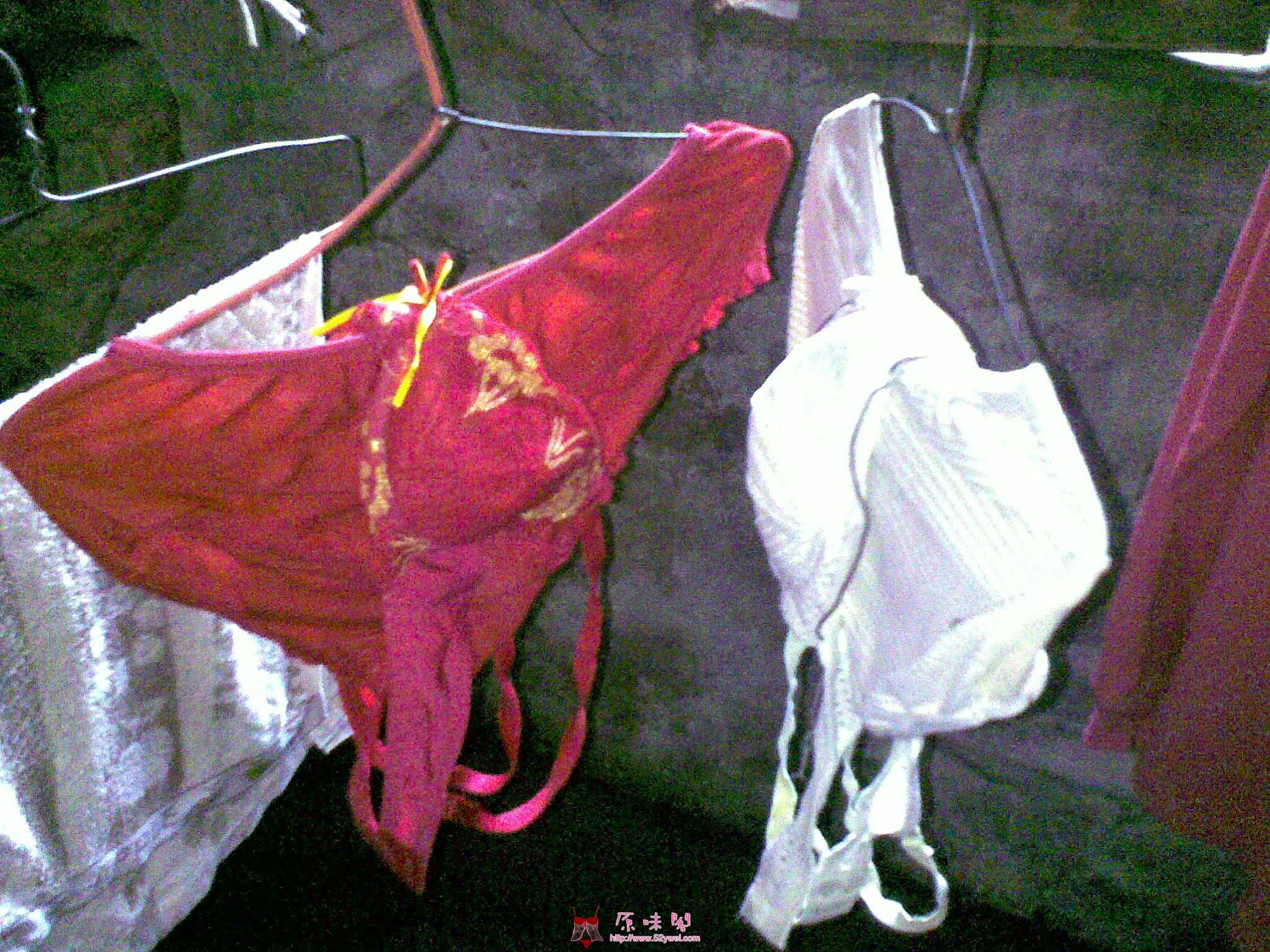 201004081218.jpg