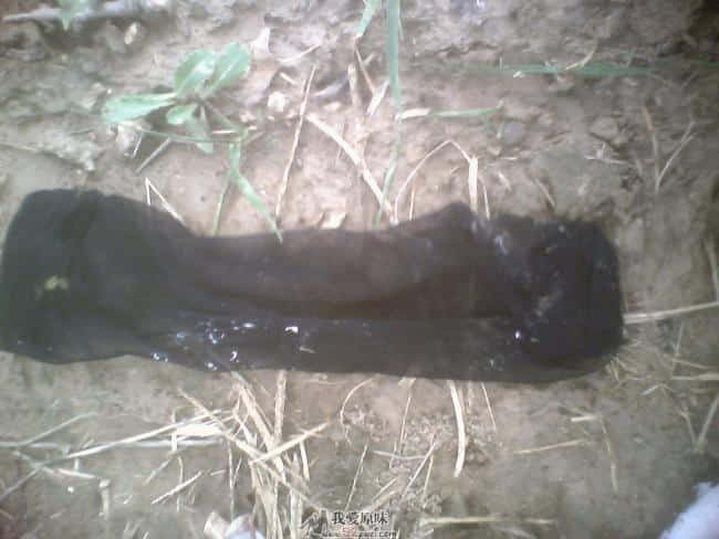 IMG0493A.jpg