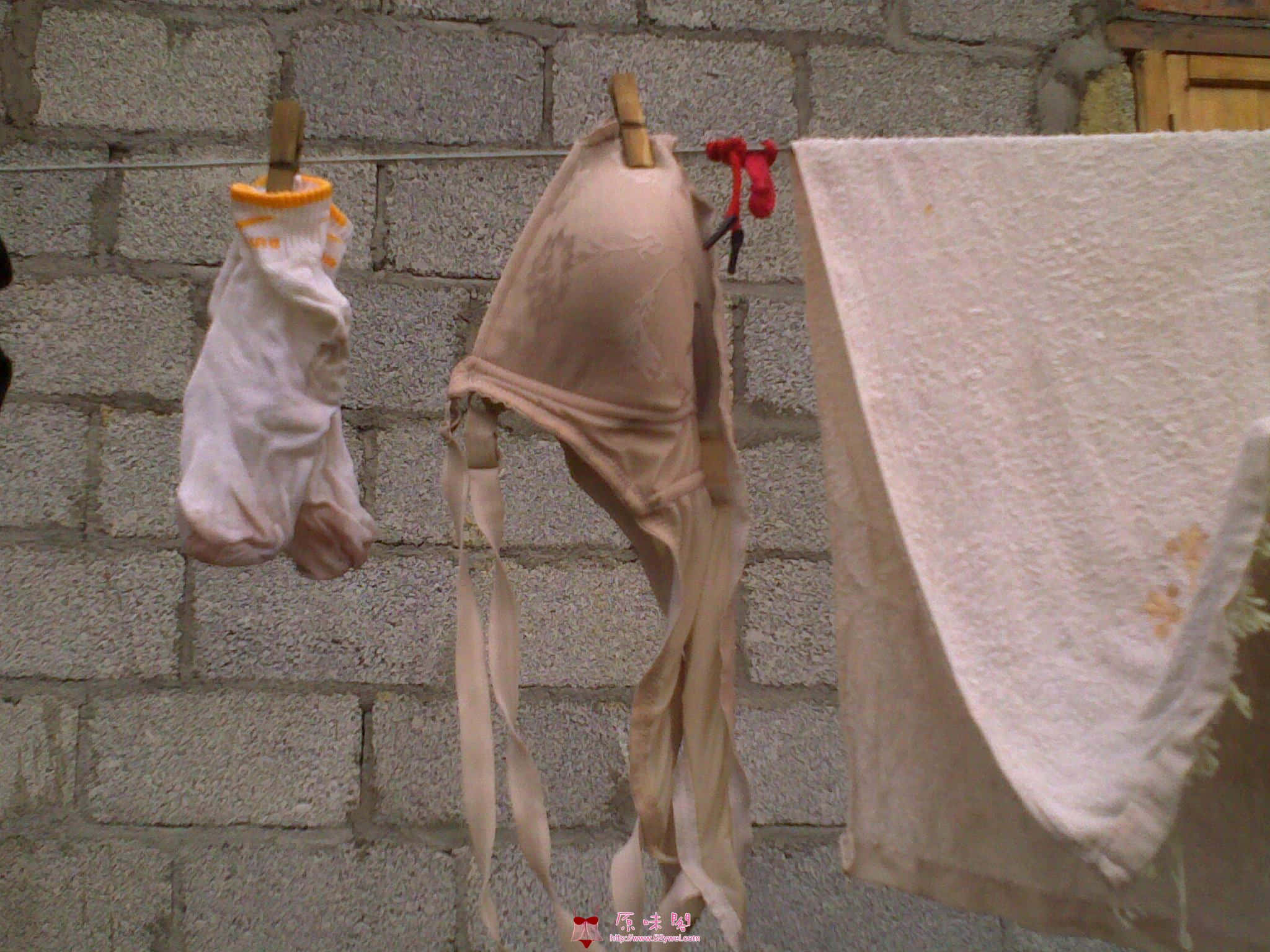 201004051212.jpg