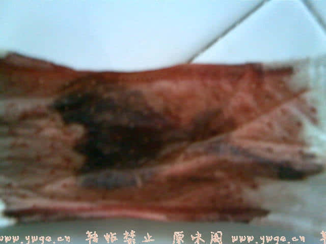 20071230(008).jpg