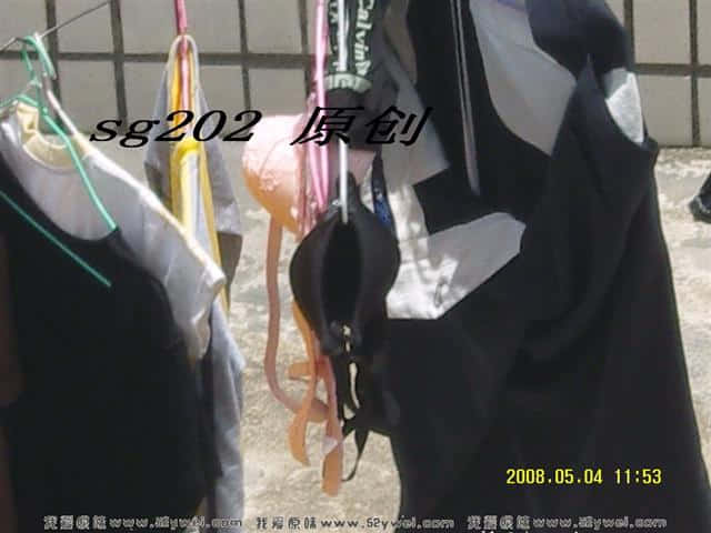 SNV80563..jpg