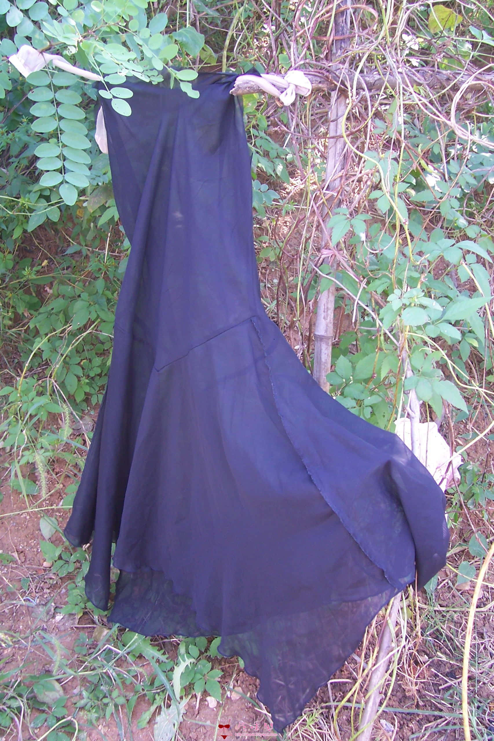 100_6755.JPG