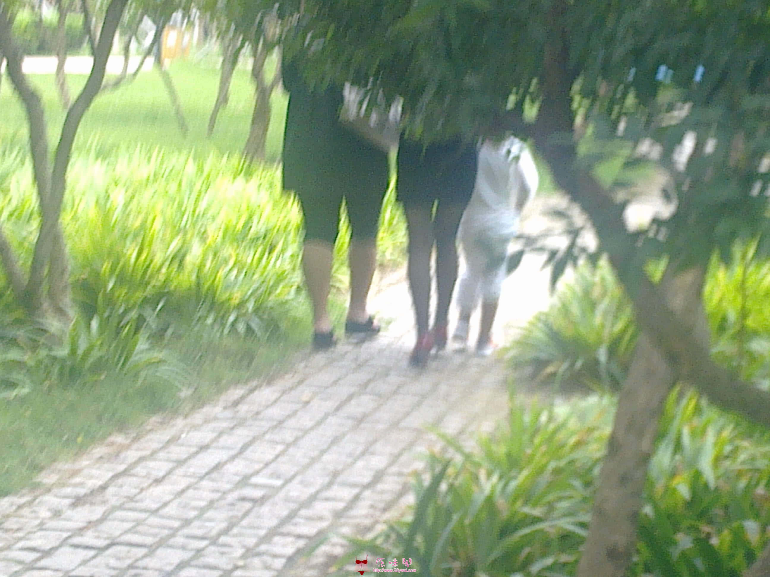 20110912441.jpg