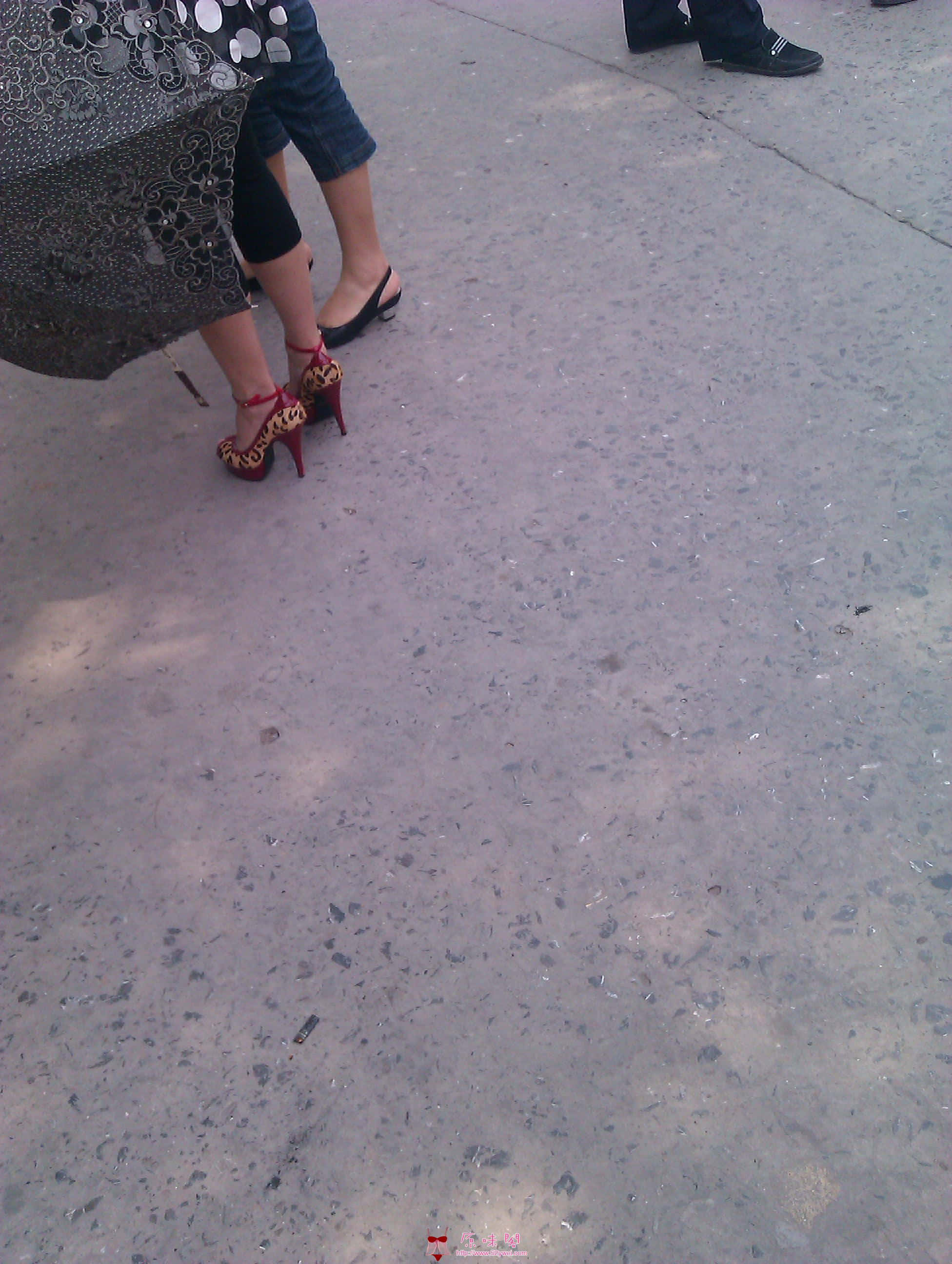IMAG0131.jpg