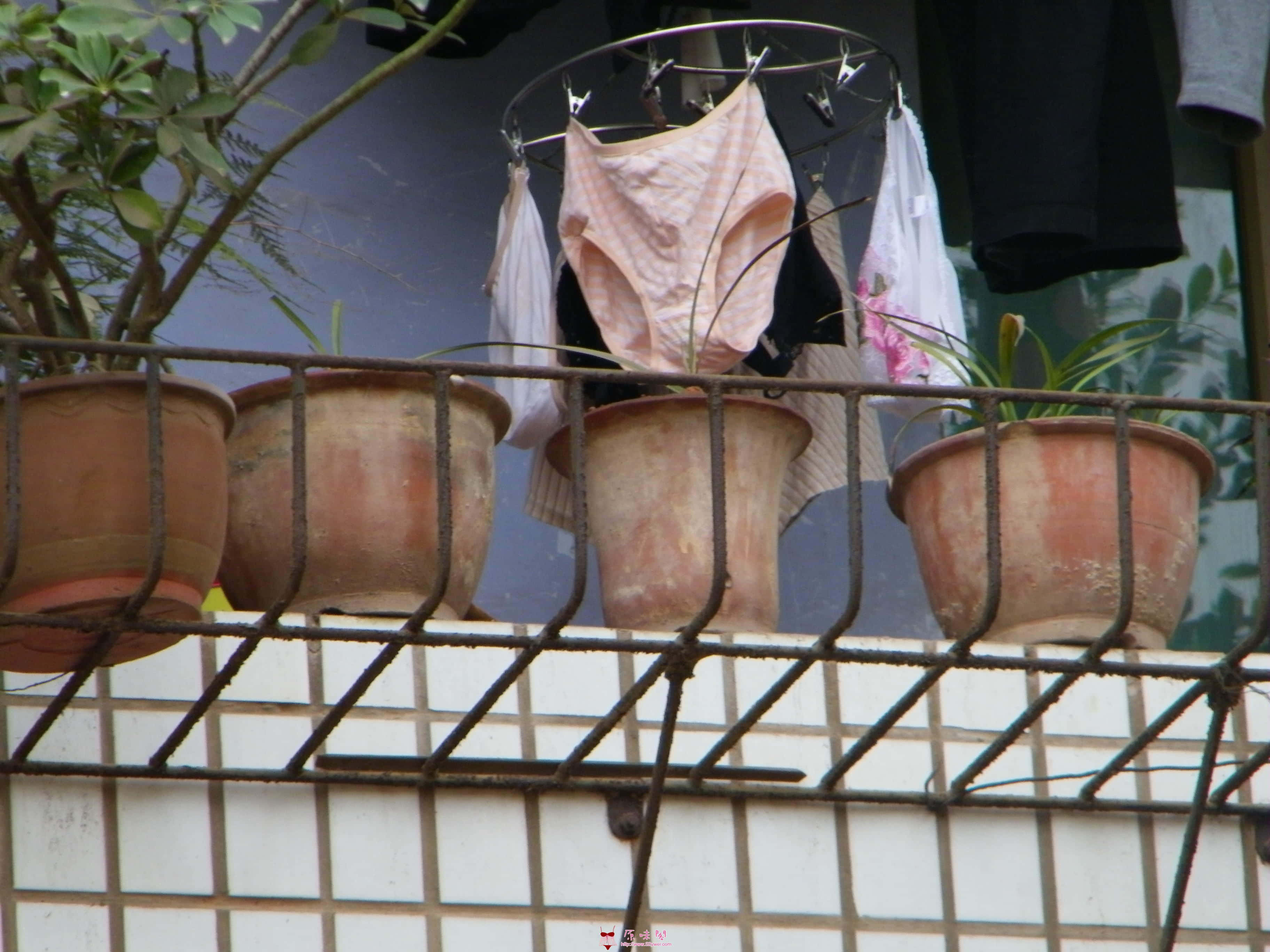 100_1503.JPG