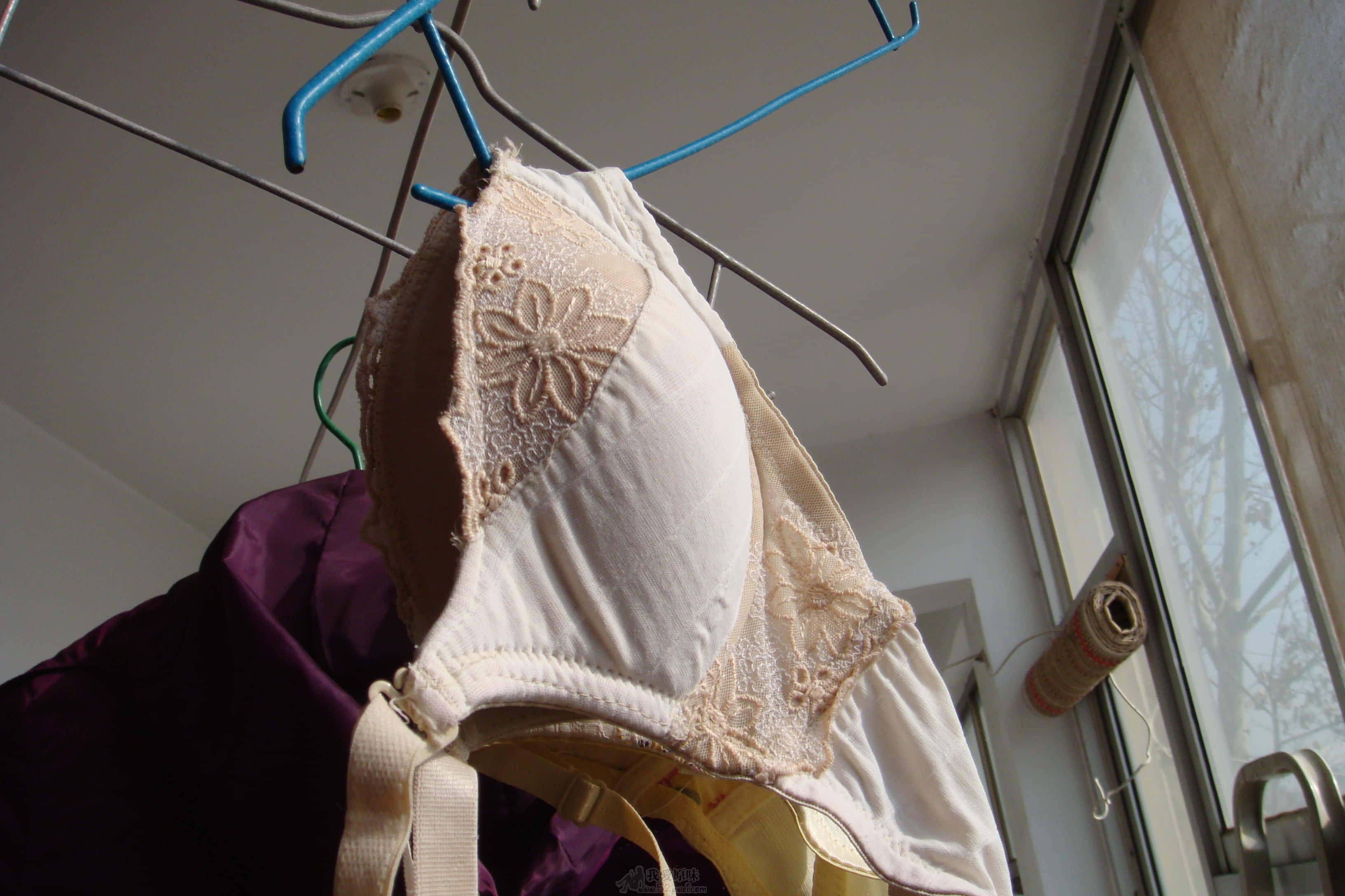 DSC03156.JPG