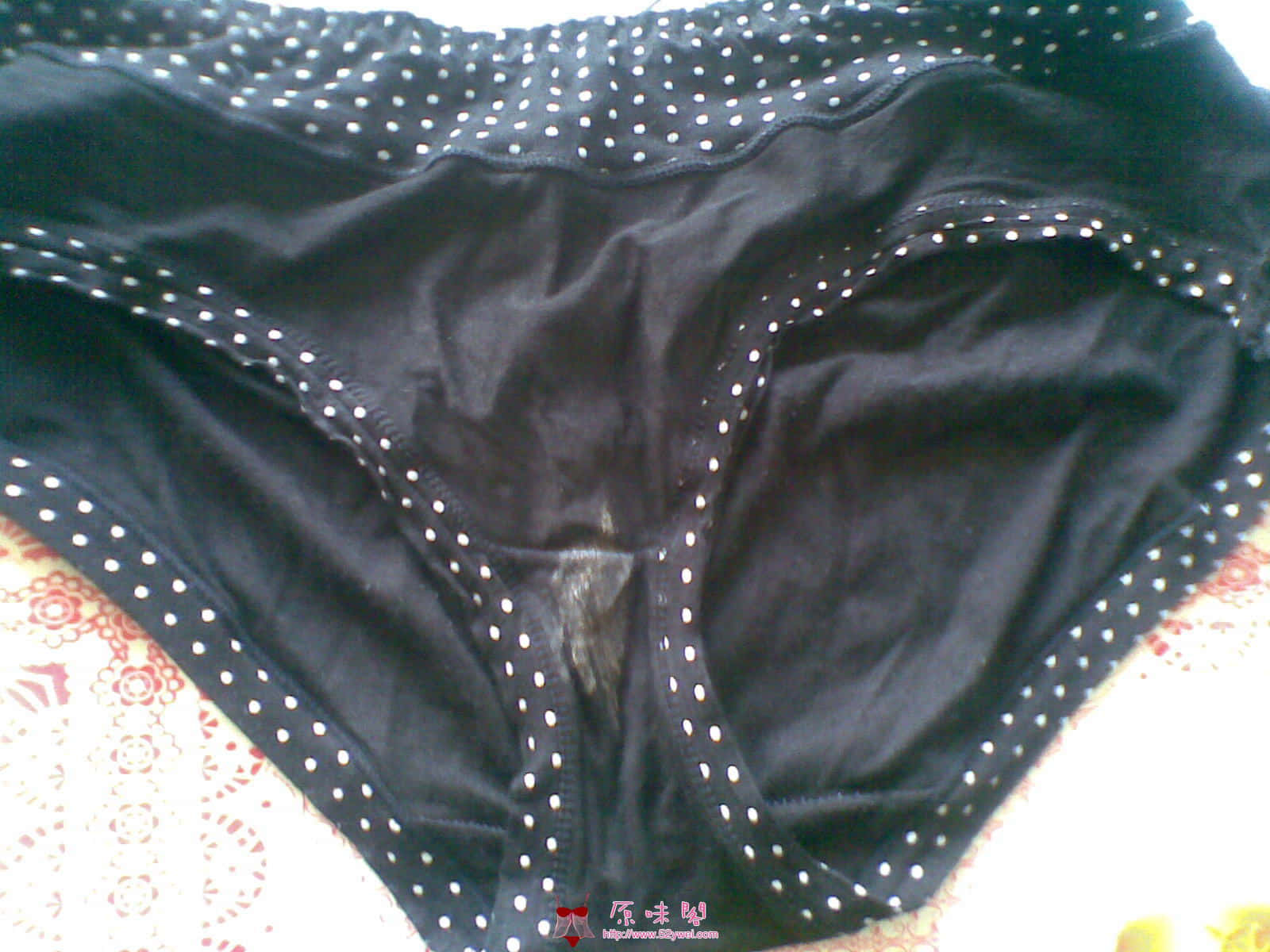 20120824(001).jpg