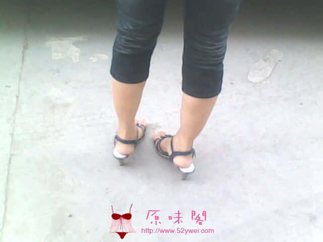 IMG0739A.jpg