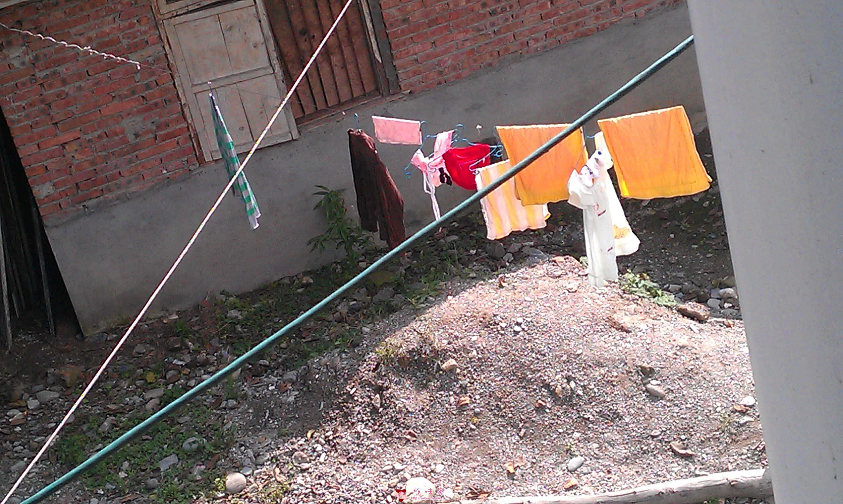 IMAG0042.jpg