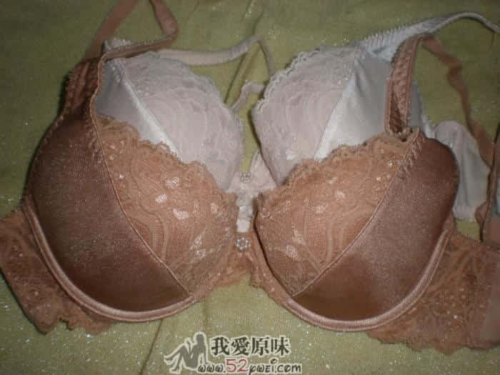 PA250022.JPG